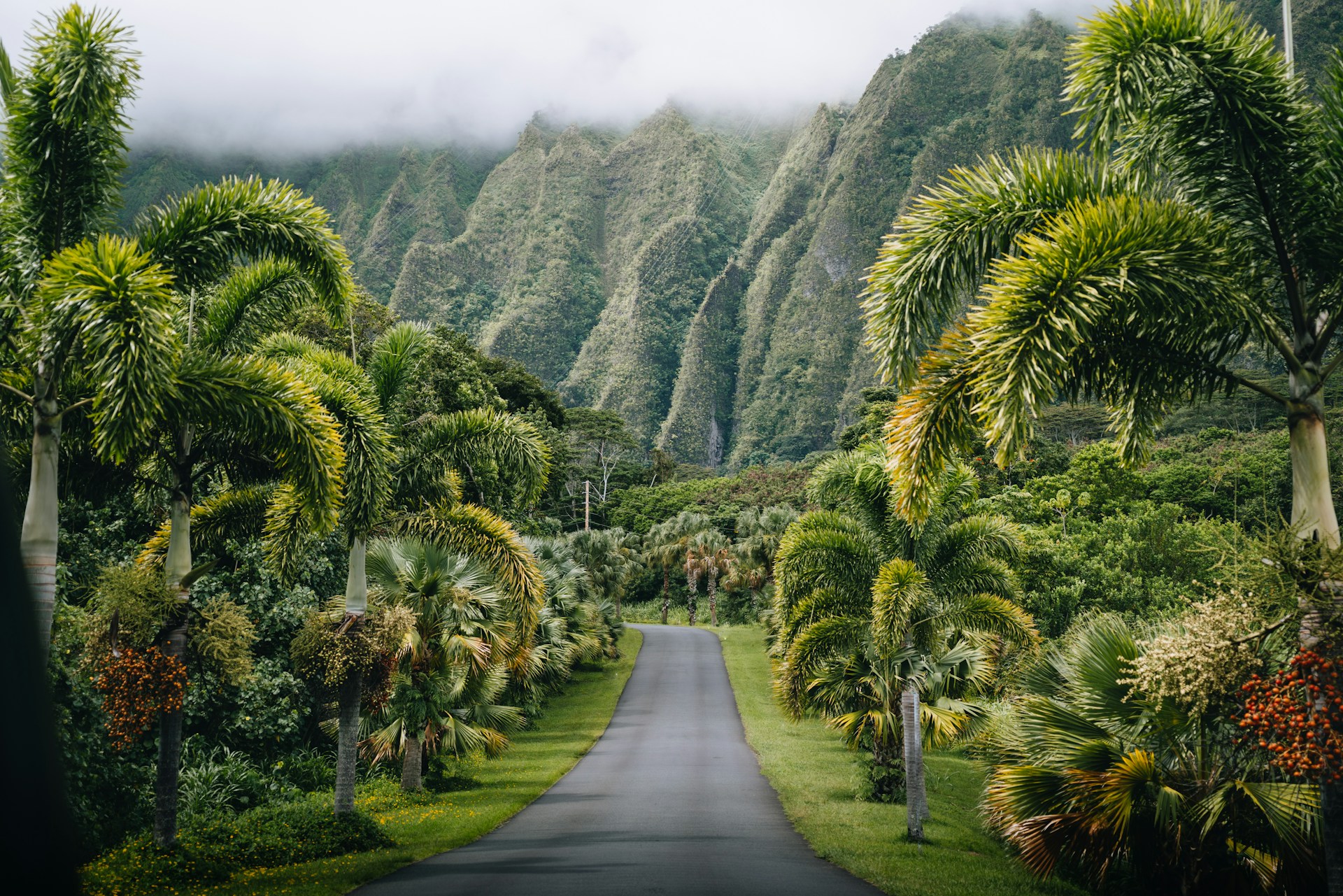 Hawaii coastline